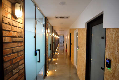 (사진제공=DNBC센터)